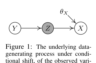 Figure from Domain Adaptation with Invariant Representation Learning: What Transformations to Learn?